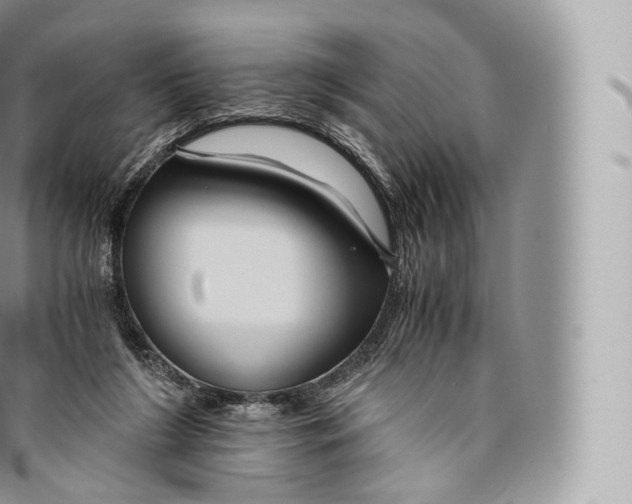 X0000096480212200802141729