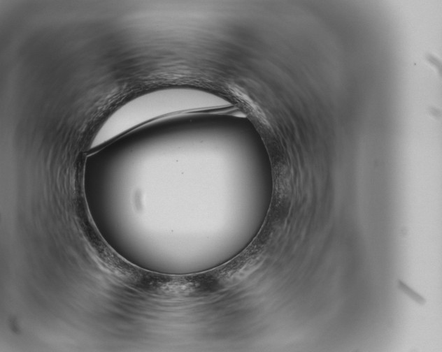 X0000096480213200802141729