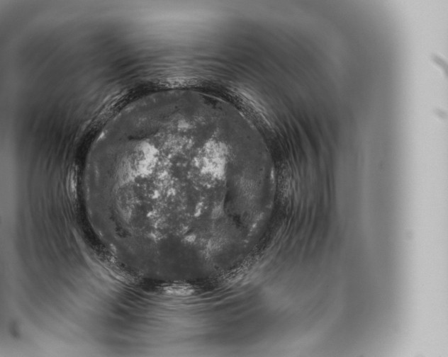 X0000096480214200802141729