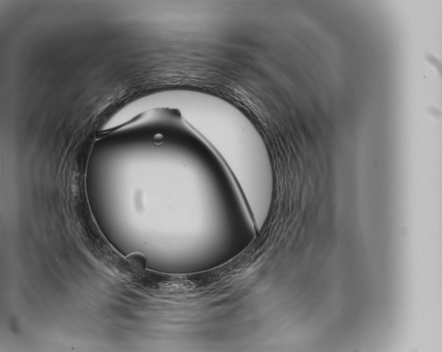 X0000096480215200802141729