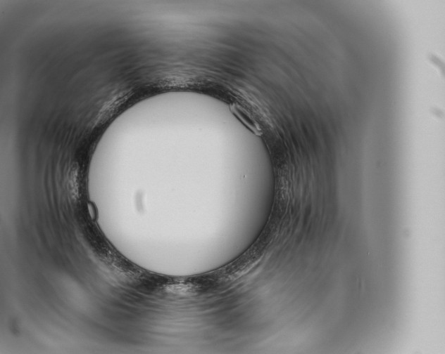 X0000096480216200802141729