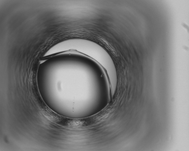 X0000096480217200802141729