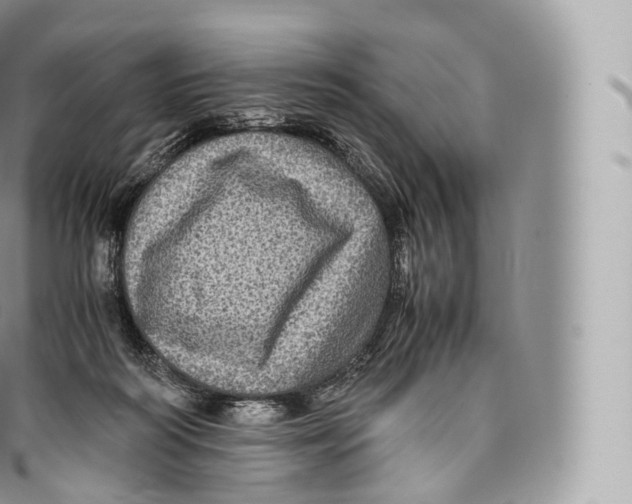 X0000096480218200802141729