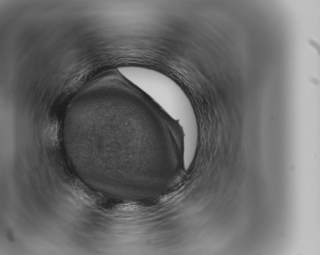 X0000096480219200802141729