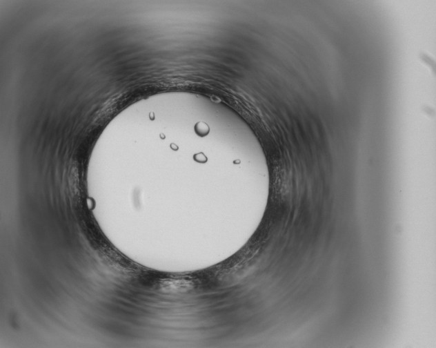 X0000096480220200802141729