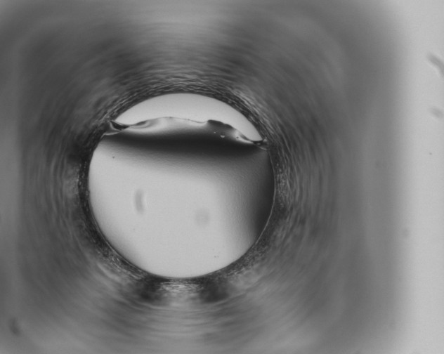 X0000096480221200802141729