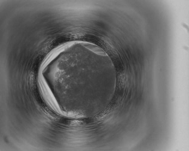 X0000096480222200802141729