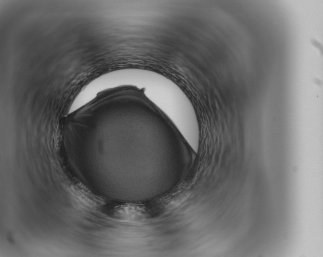 X0000096480223200802141729