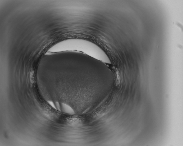 X0000096480224200802141729