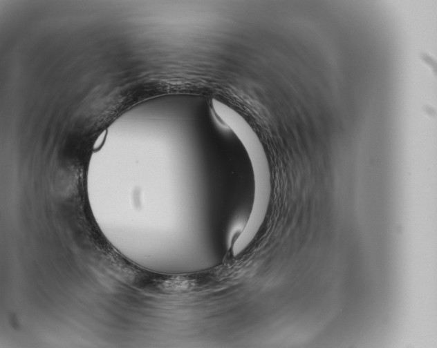 X0000096480225200802141729