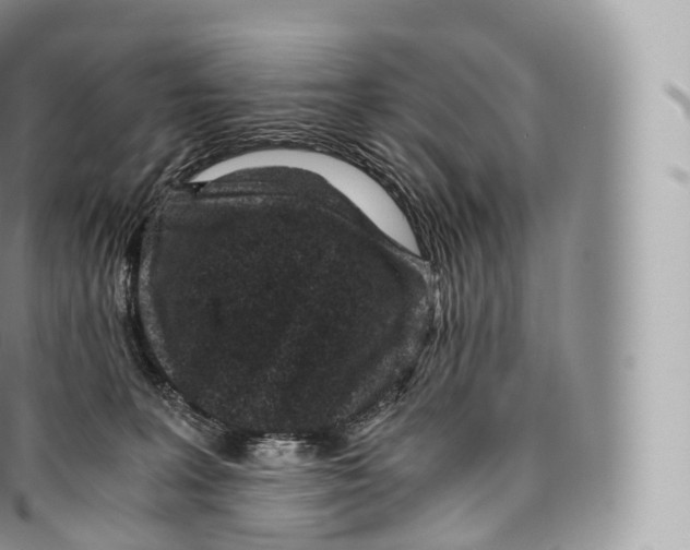 X0000096480227200802141729