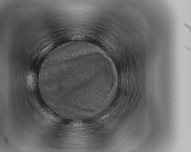 X0000096480228200802141729