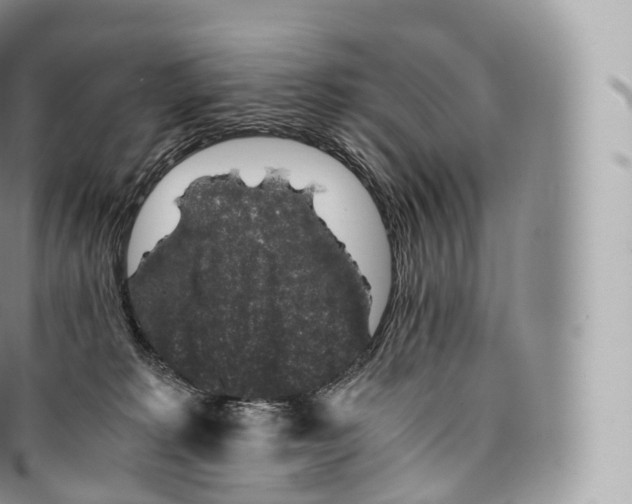 X0000096480229200802141729