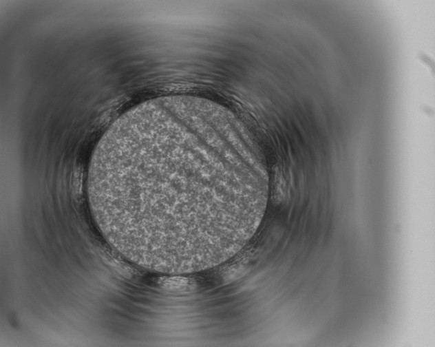 X0000096480230200802141729