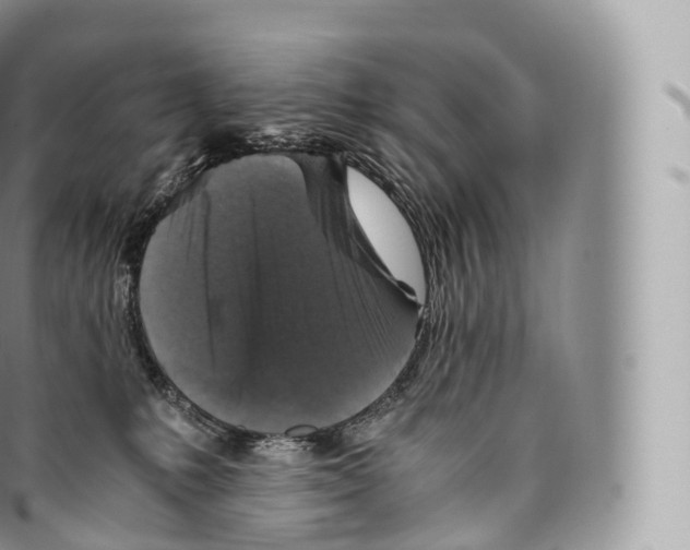 X0000096480231200802141729