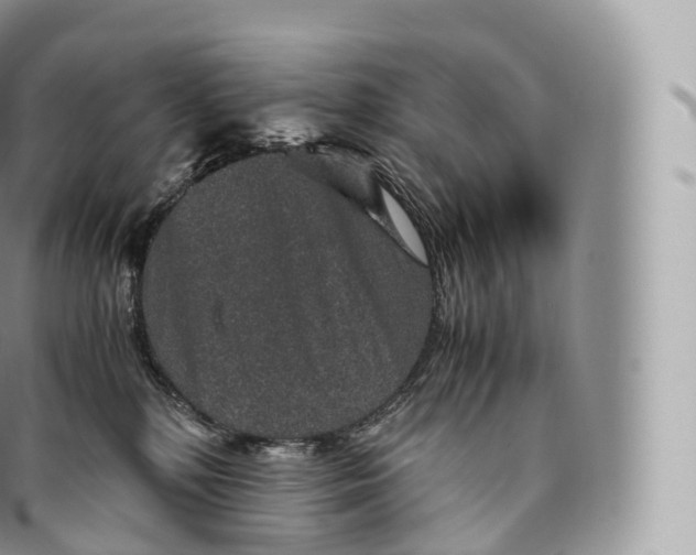 X0000096480232200802141729