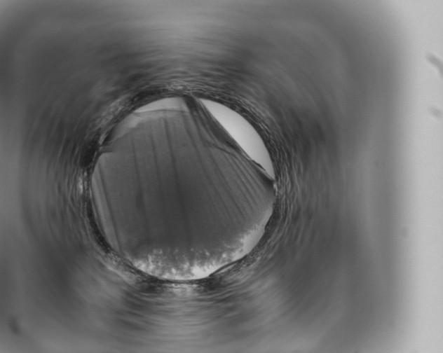 X0000096480233200802141729