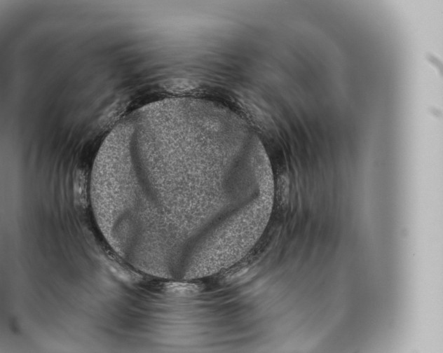 X0000096480234200802141729