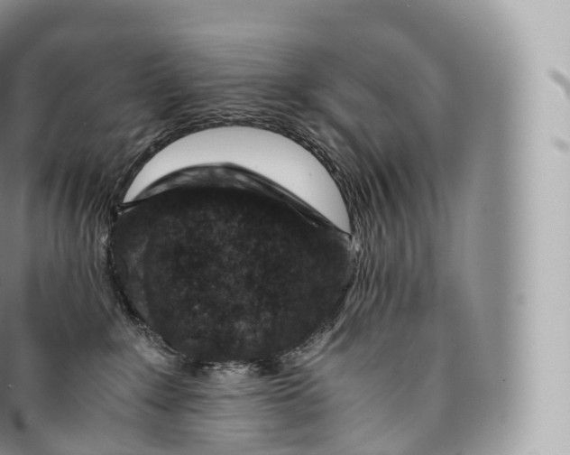 X0000096480235200802141729