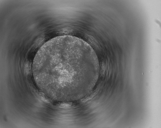 X0000096480236200802141729