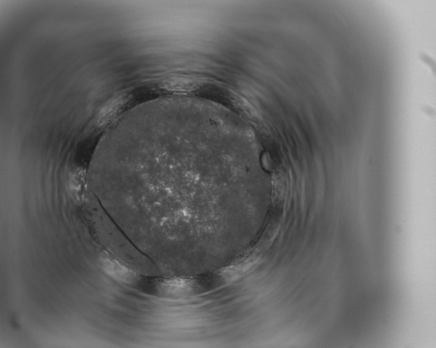 X0000096480237200802141729