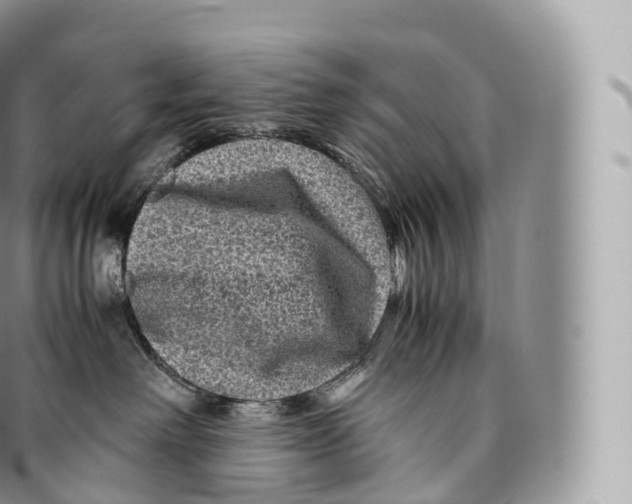 X0000096480238200802141729