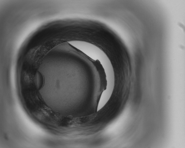 X0000096480239200802141729