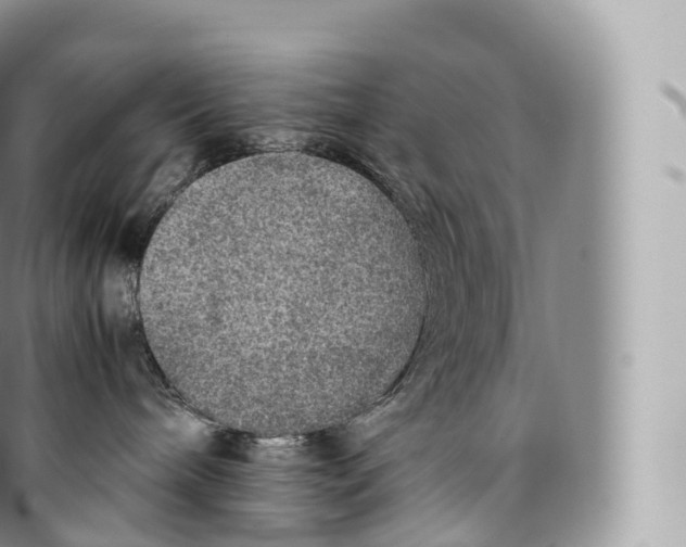 X0000096480240200802141729