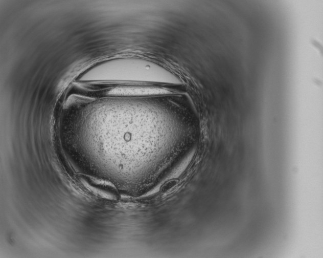 X0000096480242200802141728