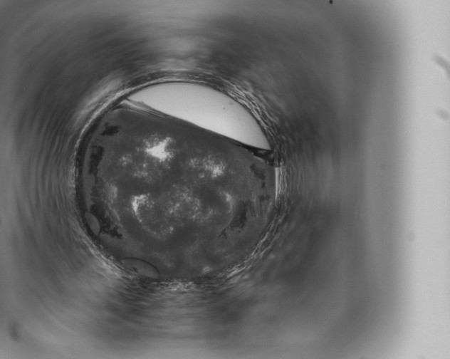 X0000096480243200802141728