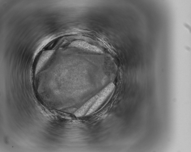 X0000096480244200802141728