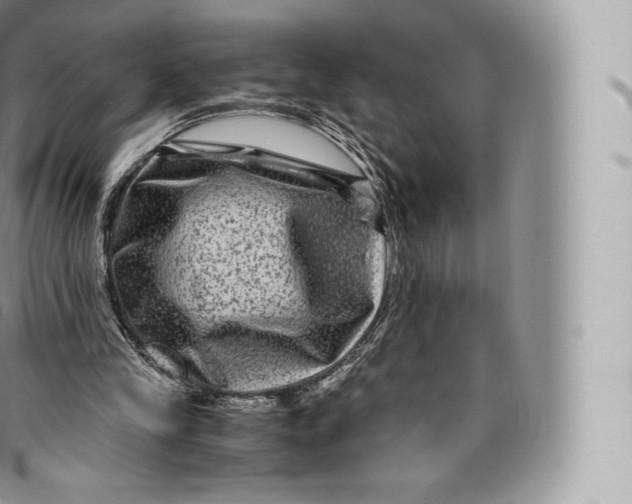 X0000096480245200802141728