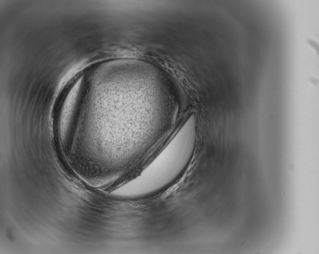 X0000096480246200802141728