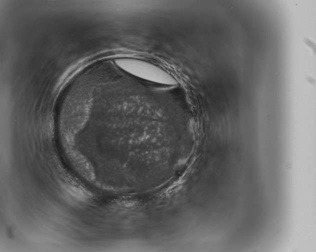 X0000096480247200802141728