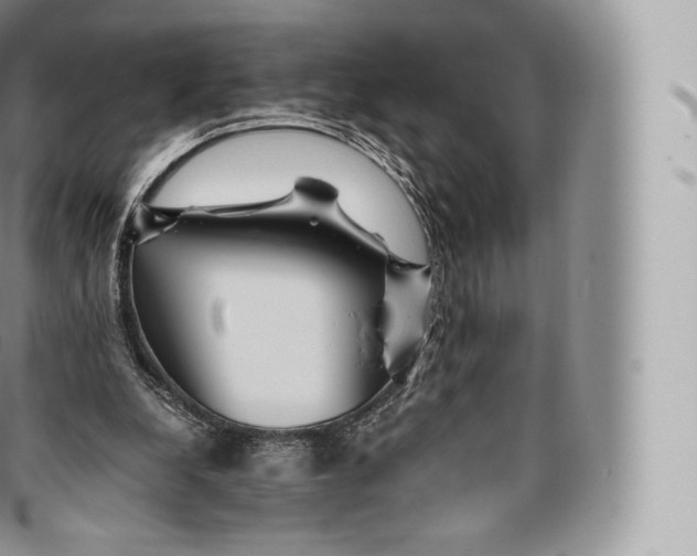 X0000096480248200802141728