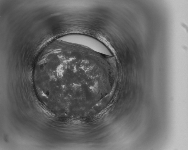 X0000096480249200802141728