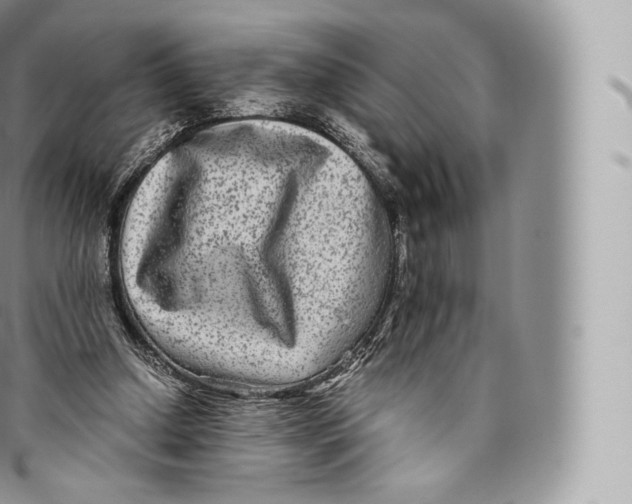 X0000096480250200802141728