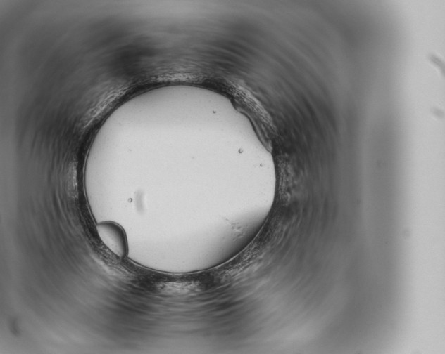 X0000096480251200802141728