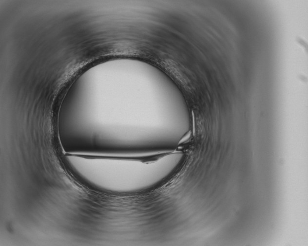 X0000096480252200802141728