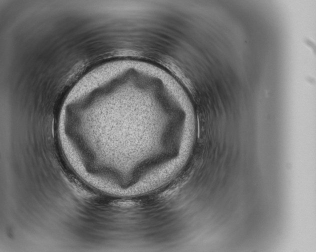 X0000096480253200802141728