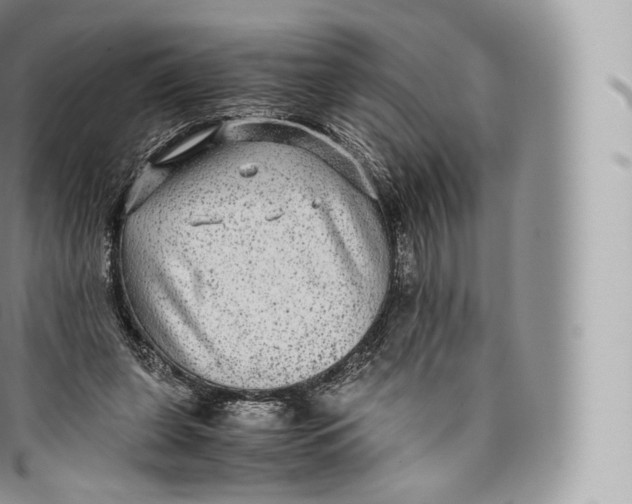 X0000096480255200802141728