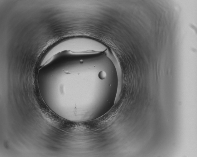 X0000096480256200802141728