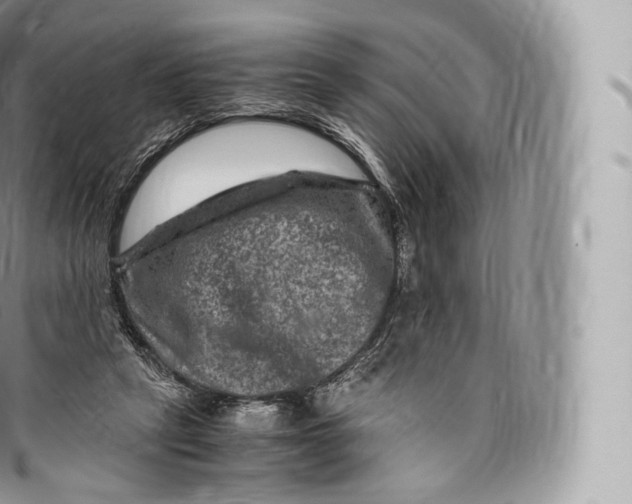 X0000096480257200802141729