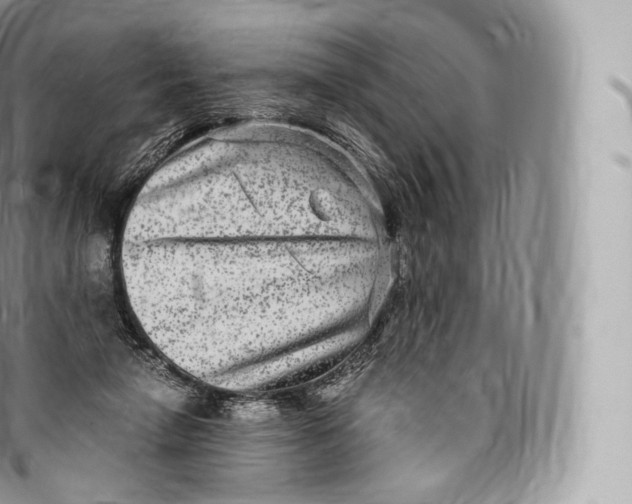 X0000096480258200802141729