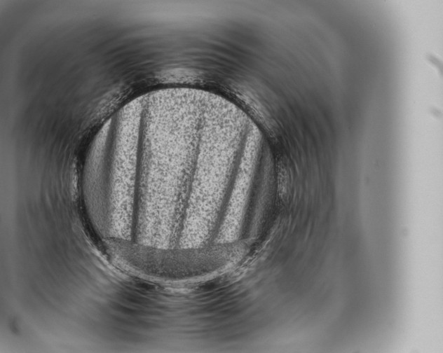 X0000096480261200802141729