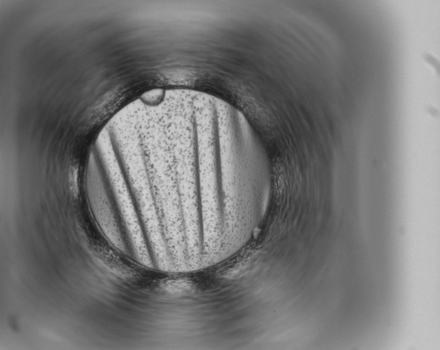 X0000096480262200802141729