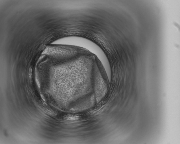 X0000096480263200802141729