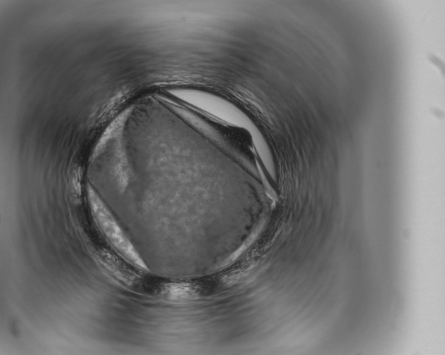 X0000096480264200802141729