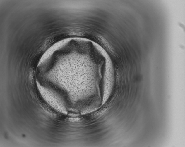 X0000096480265200802141729