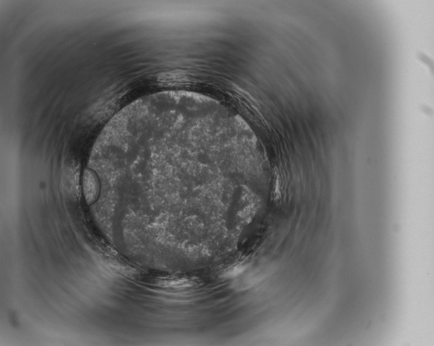 X0000096480267200802141729